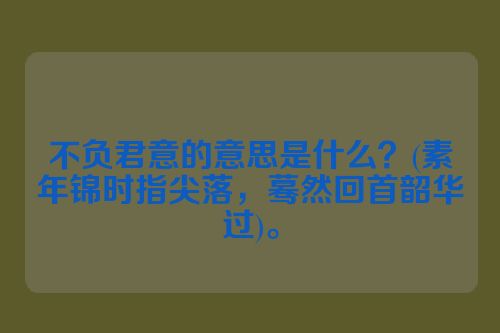 不负君意的意思是什么？(素年锦时指尖落，蓦然回首韶华过)。